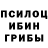 Псилоцибиновые грибы мухоморы Andrew Va4owsky